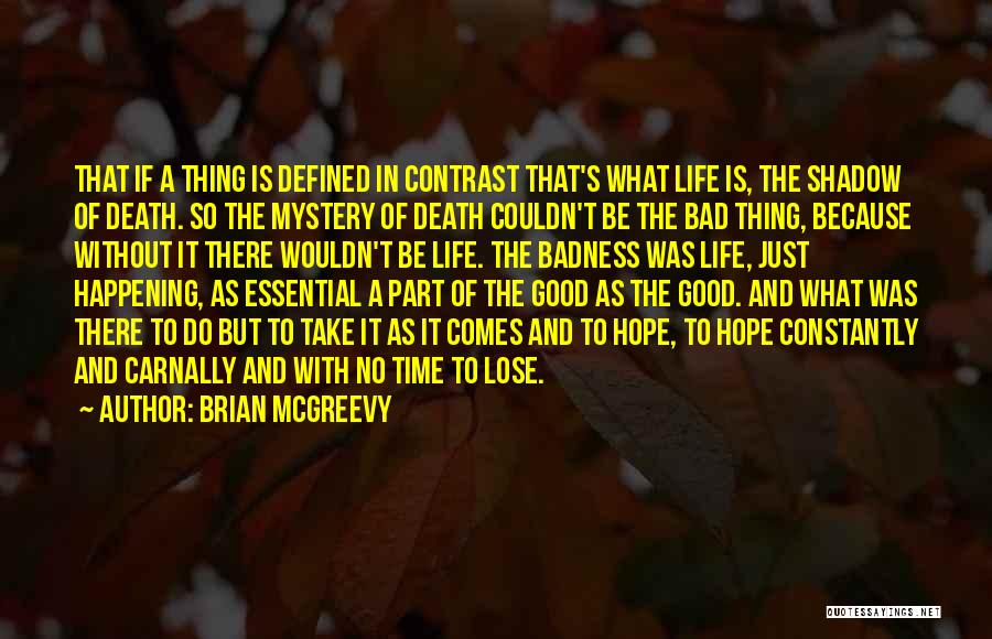 Hope Is A Good Thing Quotes By Brian McGreevy