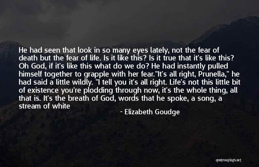 Hope Is A Good Thing Quotes By Elizabeth Goudge Hope Is A Good Thing Quotes By Elizabeth Goudge