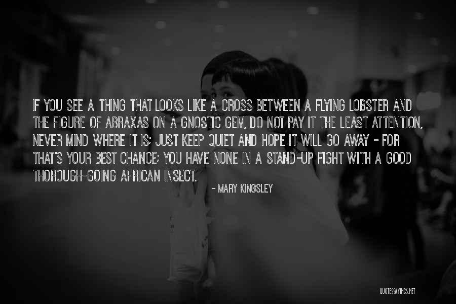 Hope Is A Good Thing Quotes By Mary Kingsley Hope Is A Good Thing Quotes By Mary Kingsley