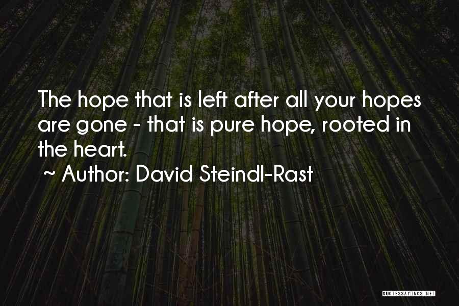 Hope Is Gone Quotes By David Steindl-Rast