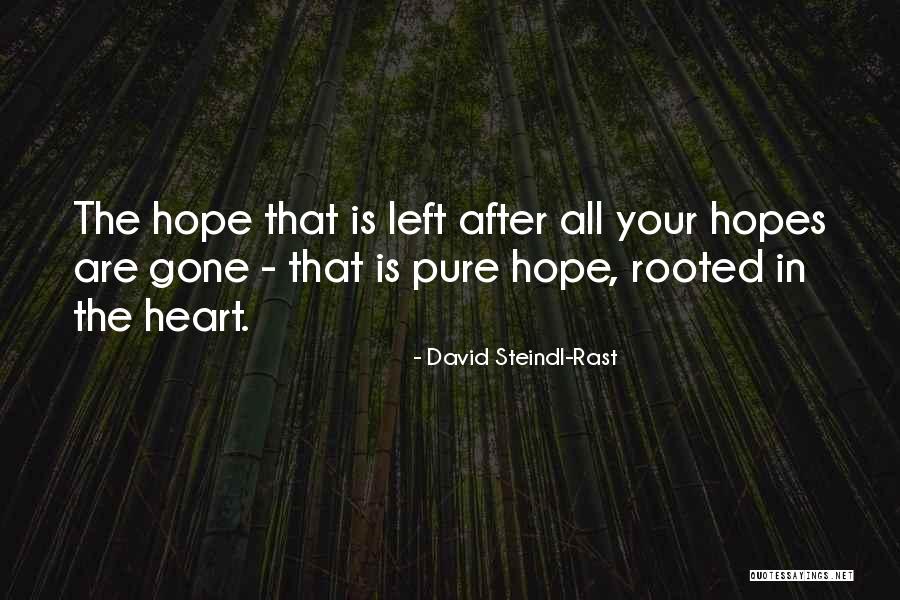 Hope Is Gone Quotes By David Steindl-Rast