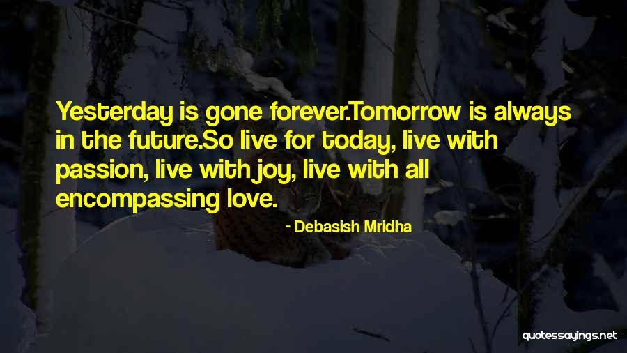 Hope Is Gone Quotes By Debasish Mridha