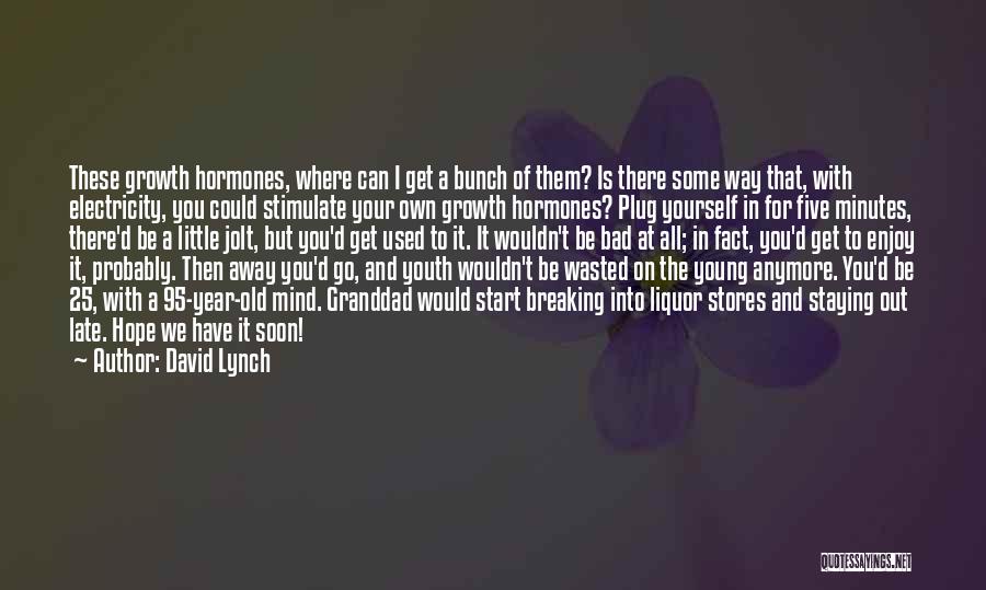 Hope Is Not Too Late Quotes By David Lynch