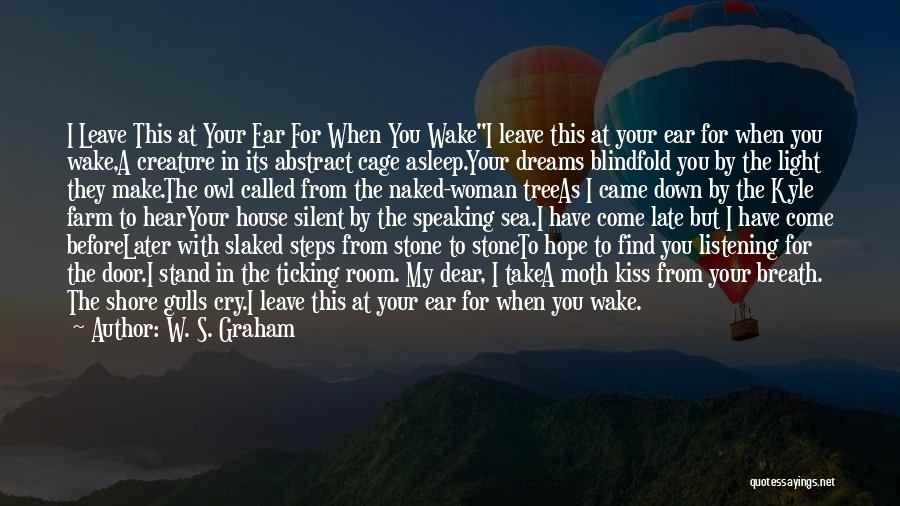 Hope Is Not Too Late Quotes By W. S. Graham