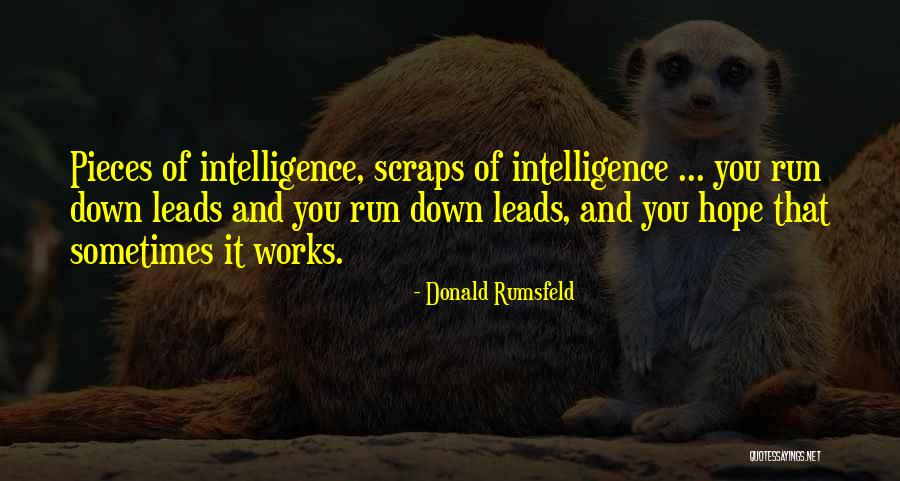 Hope It Works Out Quotes By Donald Rumsfeld