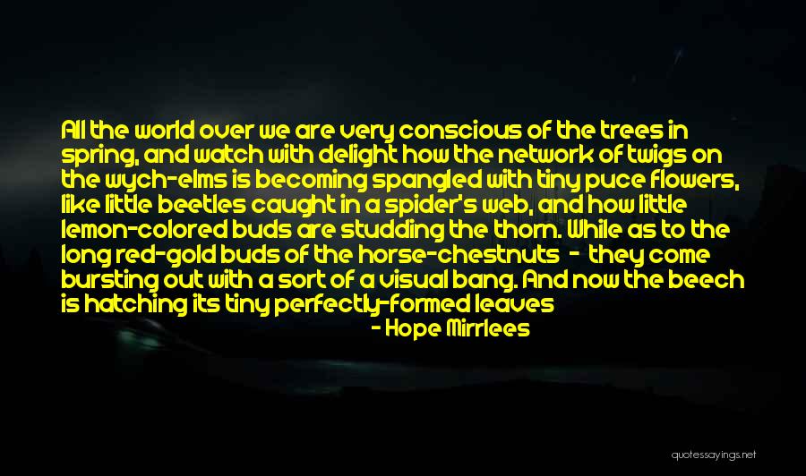Hope Mirrlees Quotes 694927 Hope Mirrlees Quotes 694927