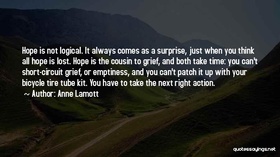 Hope Not Lost Quotes By Anne Lamott
