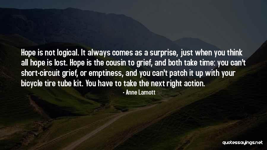 Hope Not Lost Quotes By Anne Lamott