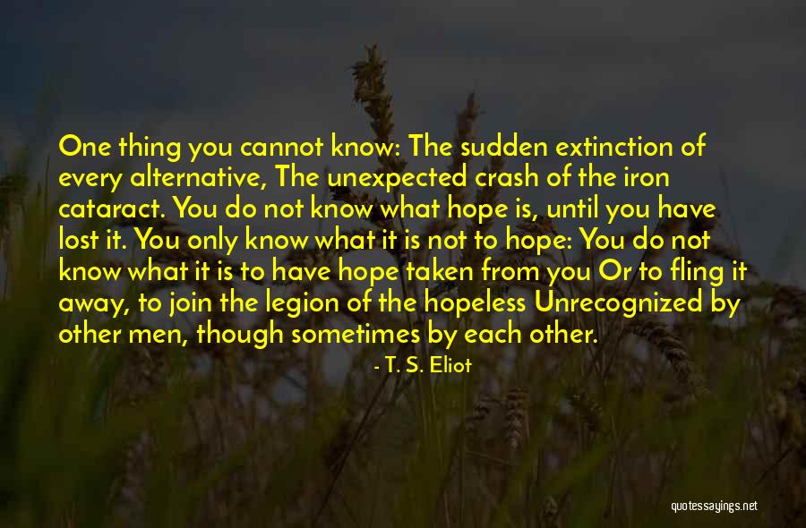 Hope Not Lost Quotes By T. S. Eliot Hope Not Lost Quotes By T. S. Eliot