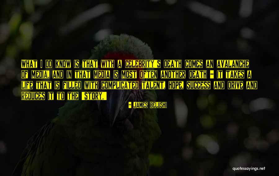 Hope Of Success Quotes By James Belushi Hope Of Success Quotes By James Belushi