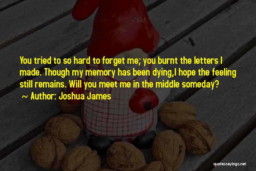 Hope Remains Quotes By Joshua James