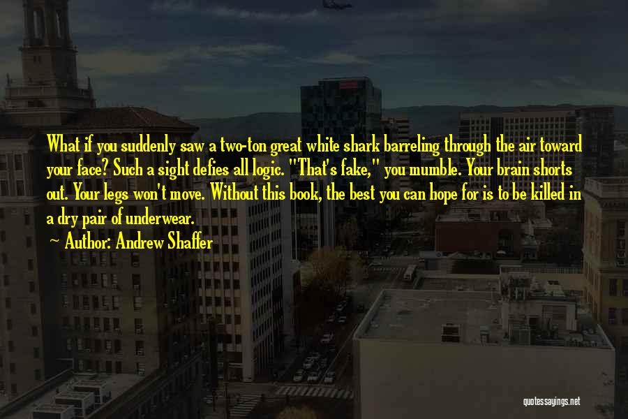Hope The Best For You Quotes By Andrew Shaffer