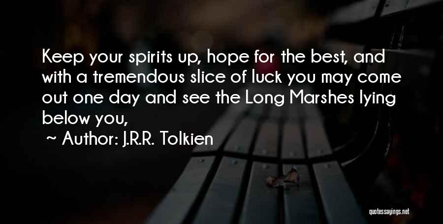Hope The Best For You Quotes By J.R.R. Tolkien