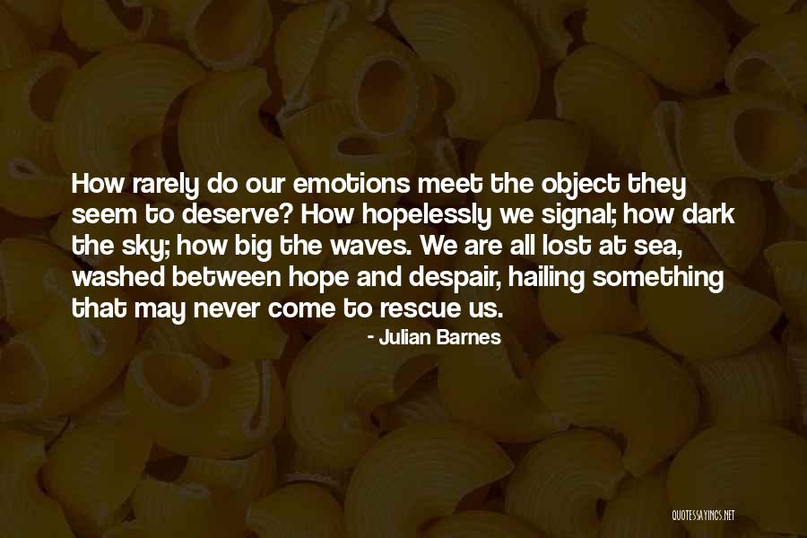 Hope To Meet Soon Quotes By Julian Barnes