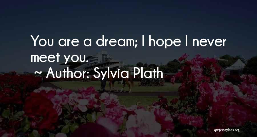 Hope To Meet Soon Quotes By Sylvia Plath