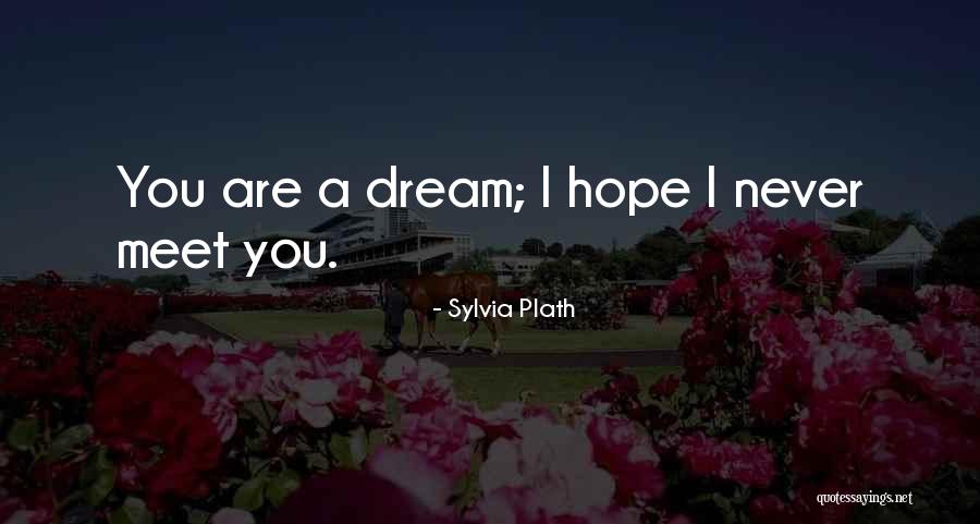 Hope To Meet Soon Quotes By Sylvia Plath