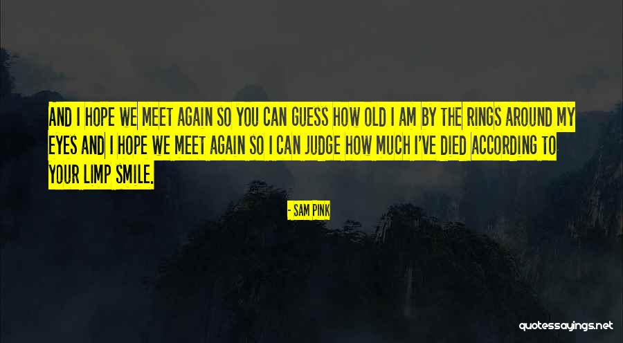 Hope To Meet You Again Quotes By Sam Pink Hope To Meet You Again Quotes By Sam Pink