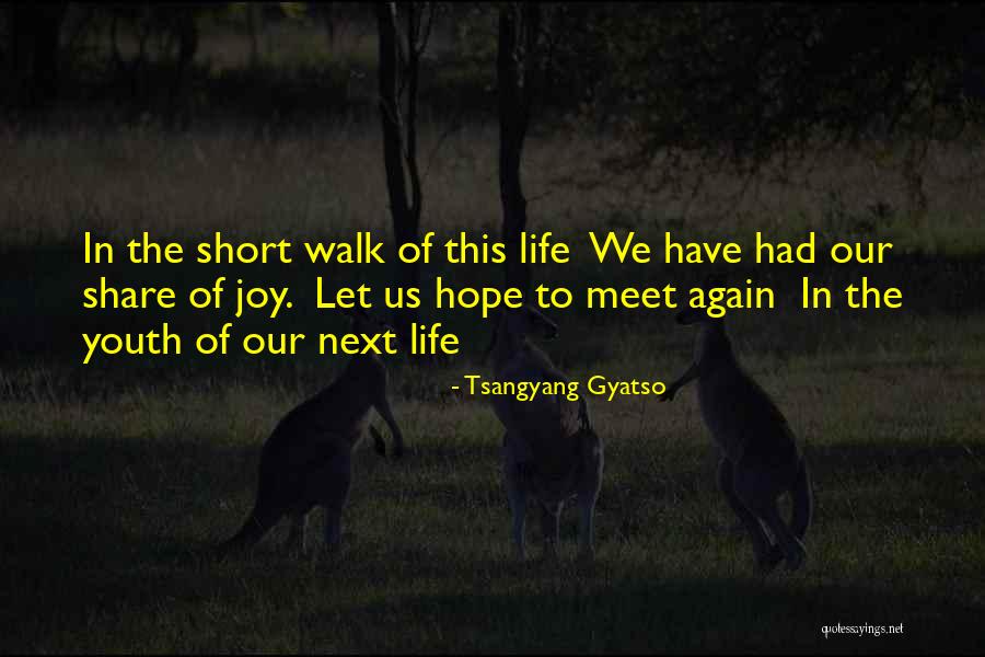 Hope To Meet You Again Quotes By Tsangyang Gyatso Hope To Meet You Again Quotes By Tsangyang Gyatso
