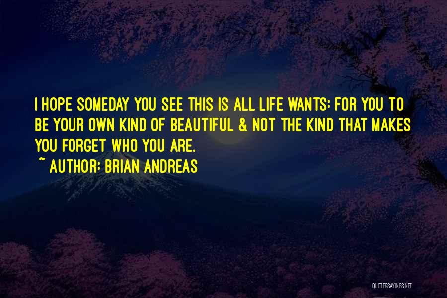 Hope To See You Someday Quotes By Brian Andreas