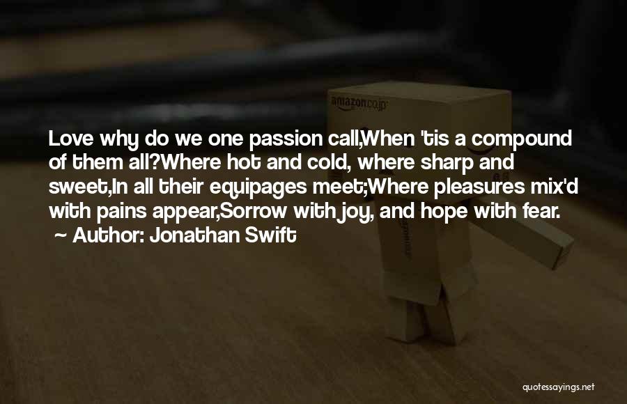 Hope We Will Meet Soon Quotes By Jonathan Swift