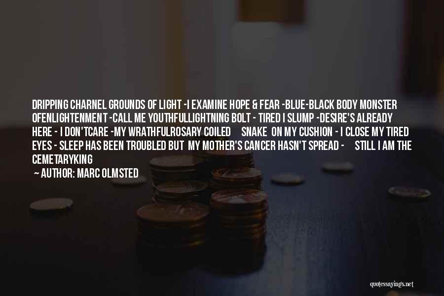 Hope With Cancer Quotes By Marc Olmsted