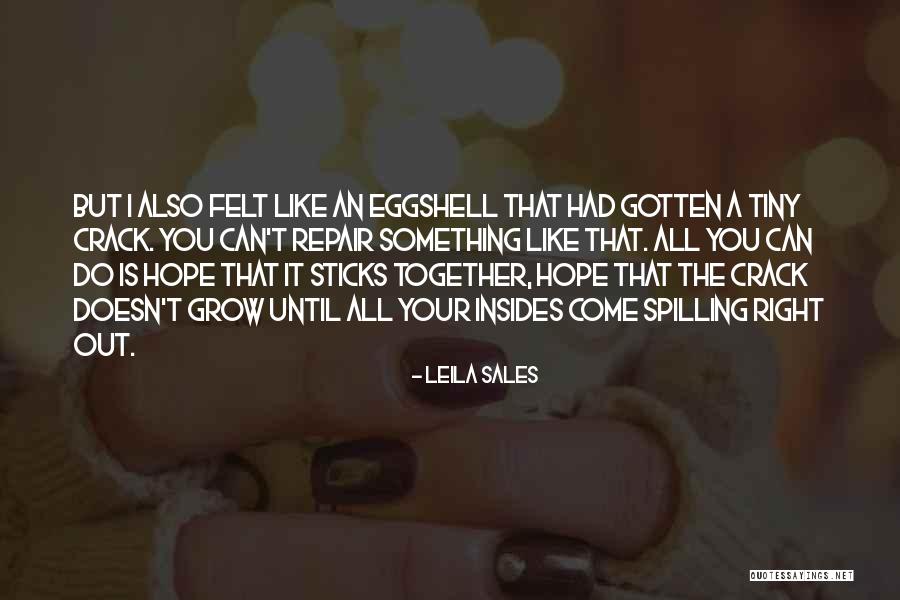 Hope You Come Quotes By Leila Sales