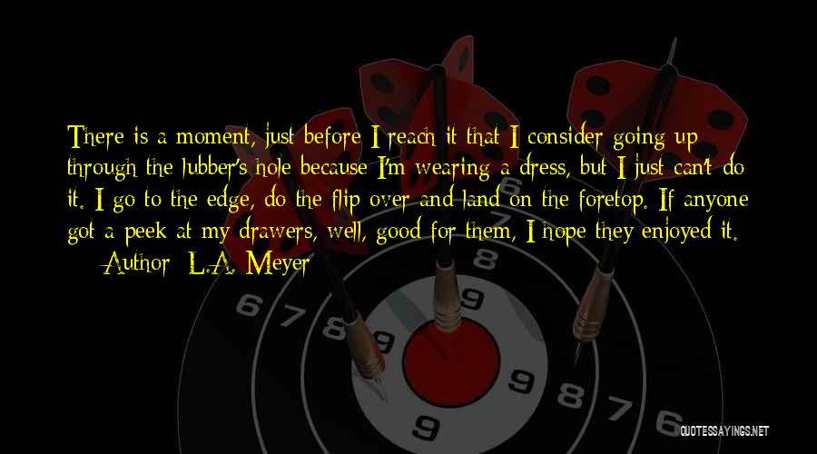 Hope You Enjoyed Quotes By L.A. Meyer