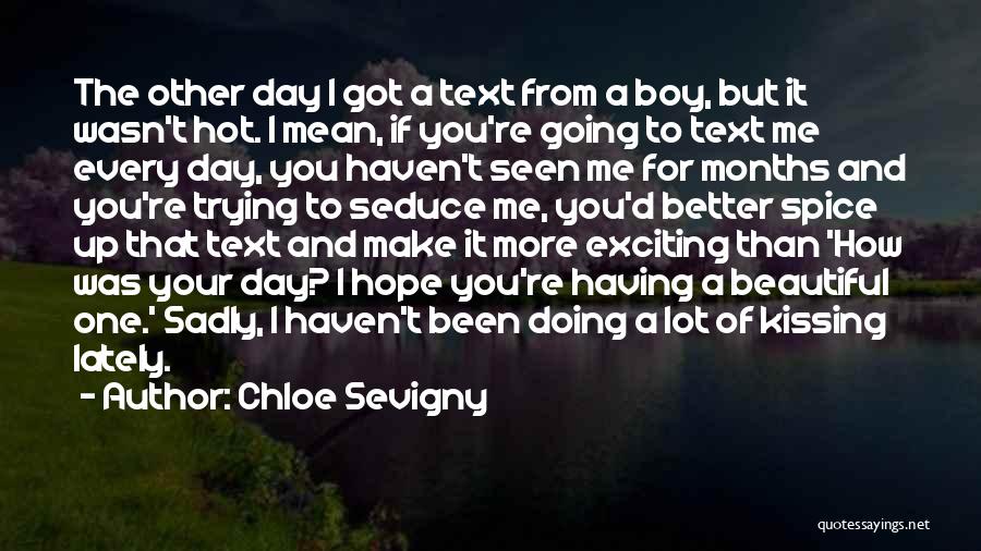 Hope You Had A Beautiful Day Quotes By Chloe Sevigny