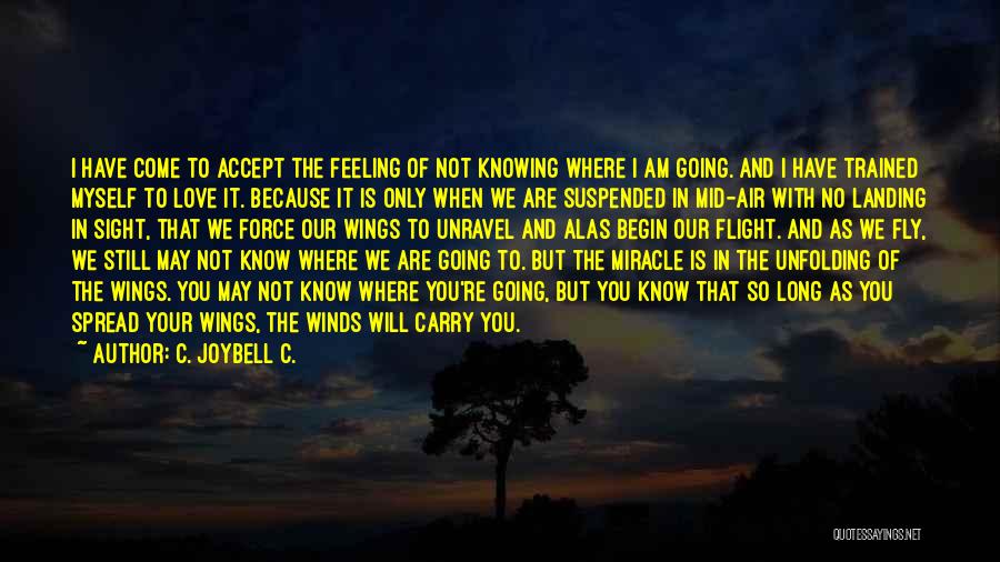 Hope You Know Quotes By C. JoyBell C.