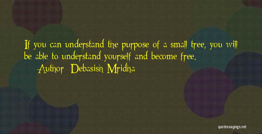 Hope You Understand Quotes By Debasish Mridha