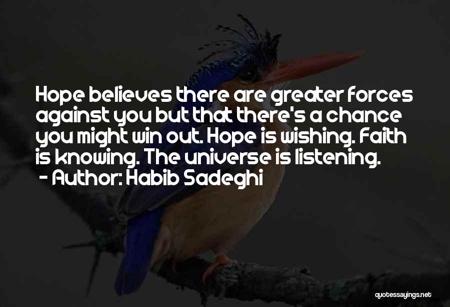 Hope You Win Quotes By Habib Sadeghi