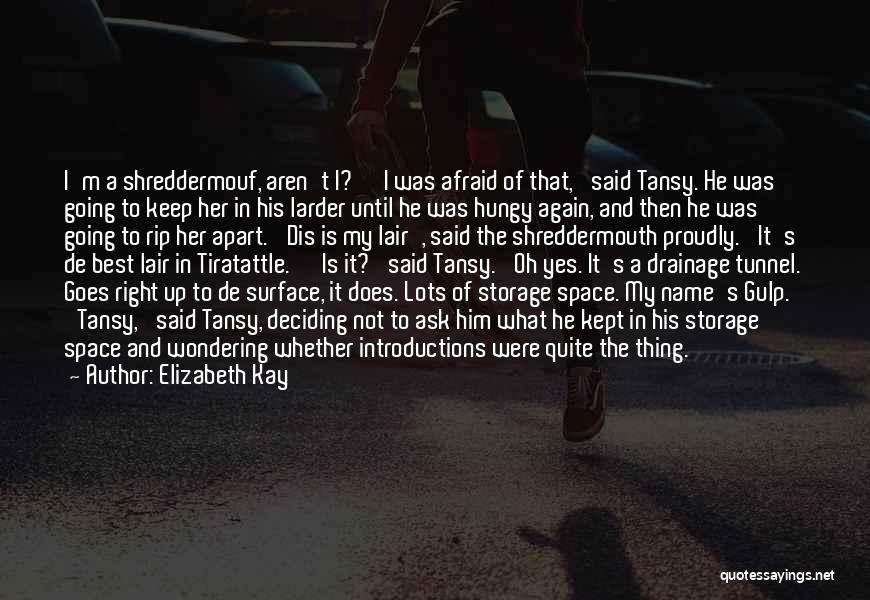 Hopeless Situation Quotes By Elizabeth Kay