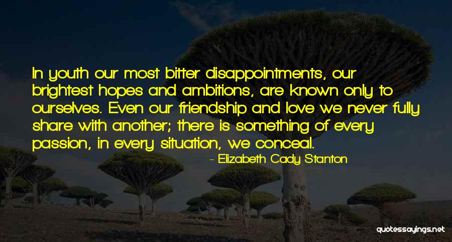 Hopes And Ambitions Quotes By Elizabeth Cady Stanton