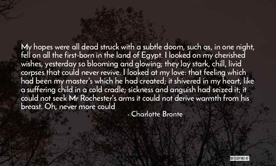 Hopes And Disappointment Quotes By Charlotte Bronte Hopes And Disappointment Quotes By Charlotte Bronte