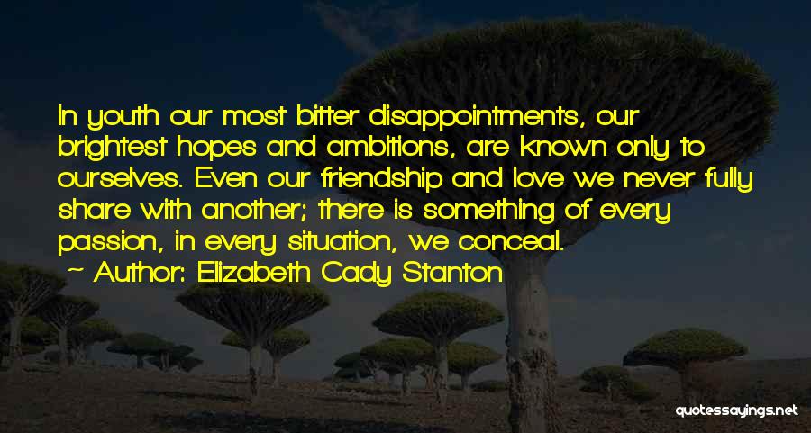 Hopes And Disappointment Quotes By Elizabeth Cady Stanton