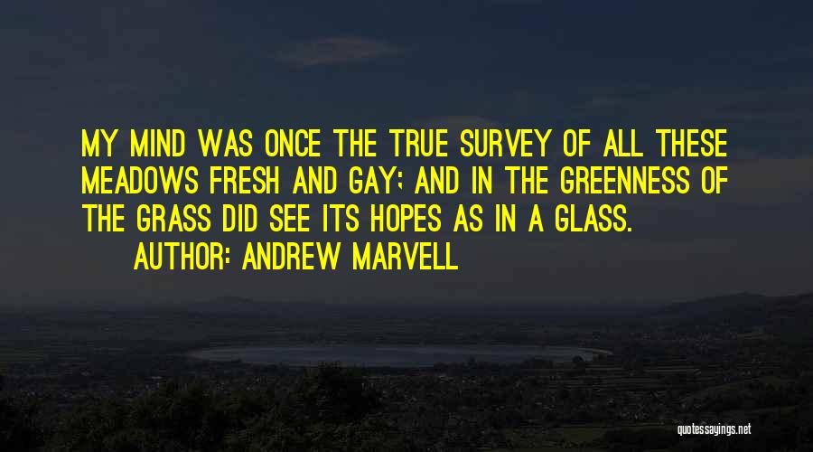 Hopes Up For Nothing Quotes By Andrew Marvell