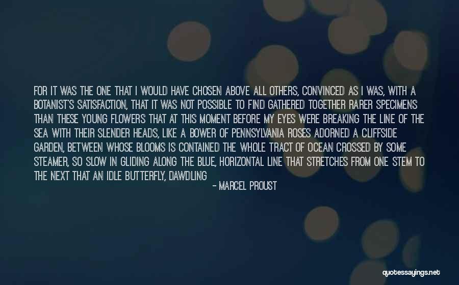Hopi Indians Quotes By Marcel Proust