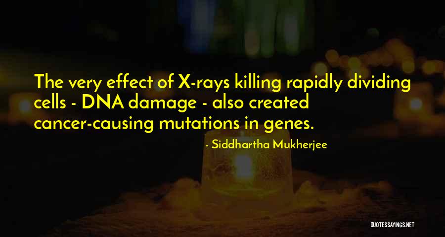 Hopie Schlenker Quotes By Siddhartha Mukherjee Hopie Schlenker Quotes By Siddhartha Mukherjee