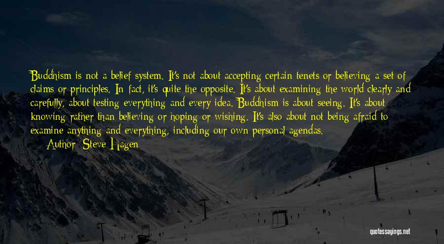 Hoping And Believing Quotes By Steve Hagen