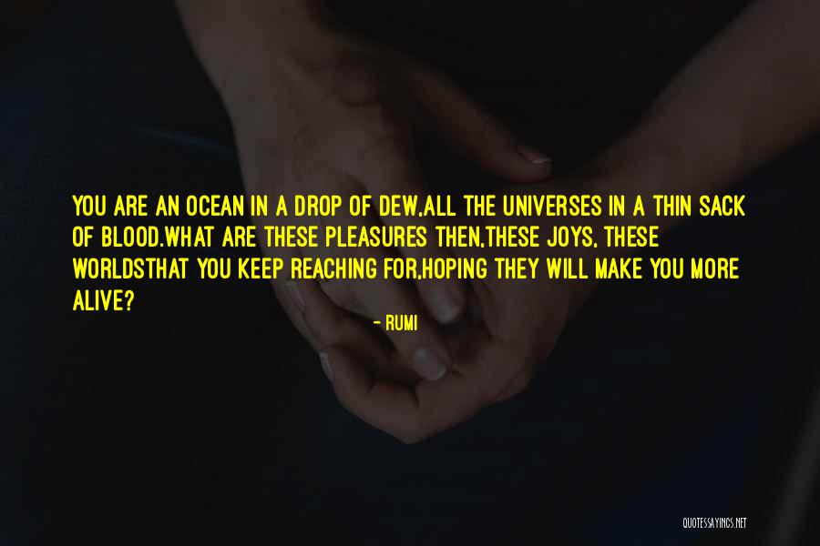 Hoping For Happiness Quotes By Rumi Hoping For Happiness Quotes By Rumi