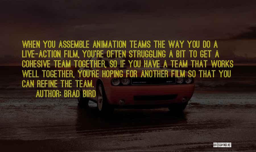 Hoping For You Quotes By Brad Bird
