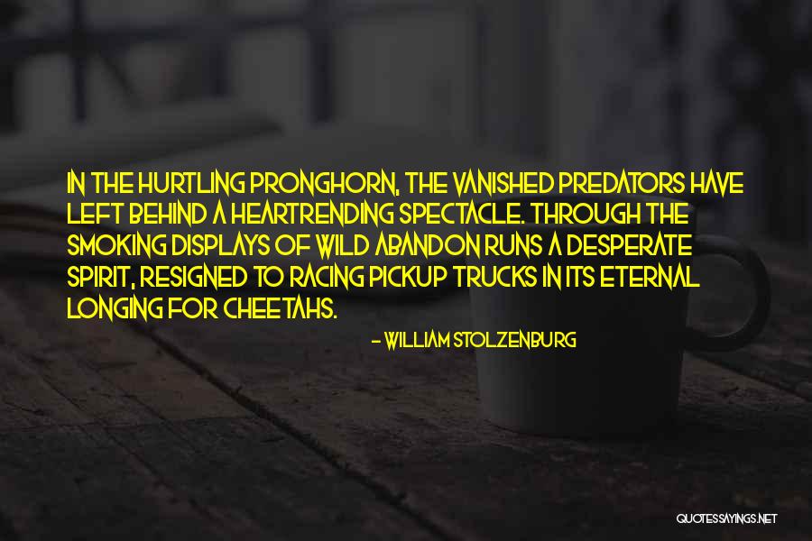 Hoppenbrouwers Artwork Quotes By William Stolzenburg Hoppenbrouwers Artwork Quotes By William Stolzenburg