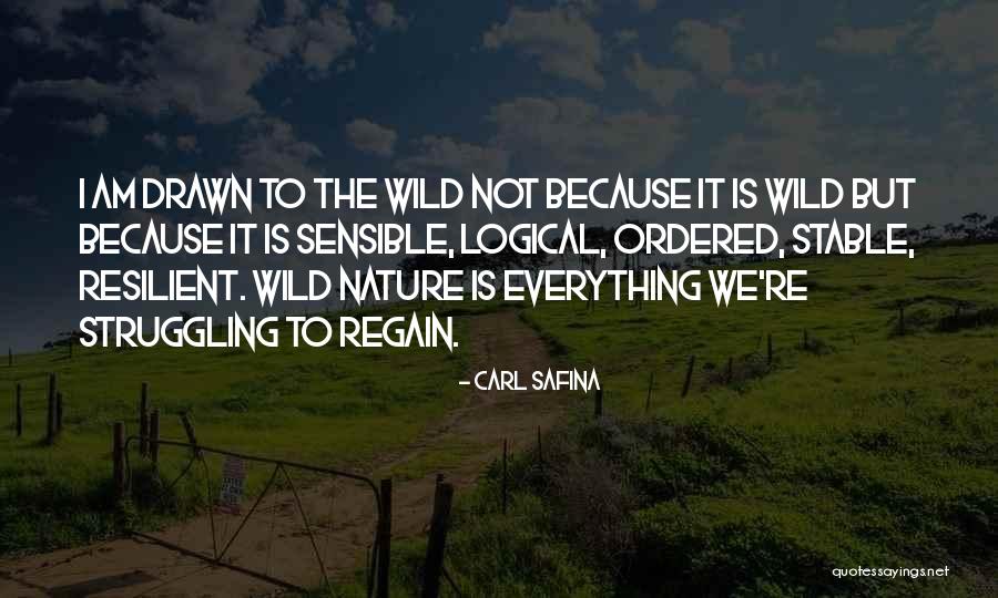 Hoppener And Decision Quotes By Carl Safina Hoppener And Decision Quotes By Carl Safina