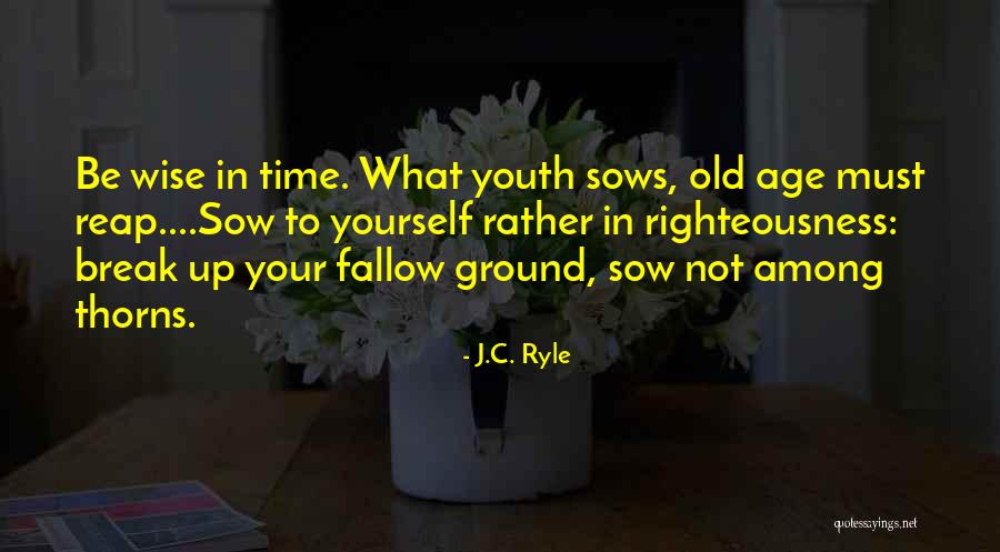 Hoppenfeld Surgical Approaches Quotes By J.C. Ryle Hoppenfeld Surgical Approaches Quotes By J.C. Ryle