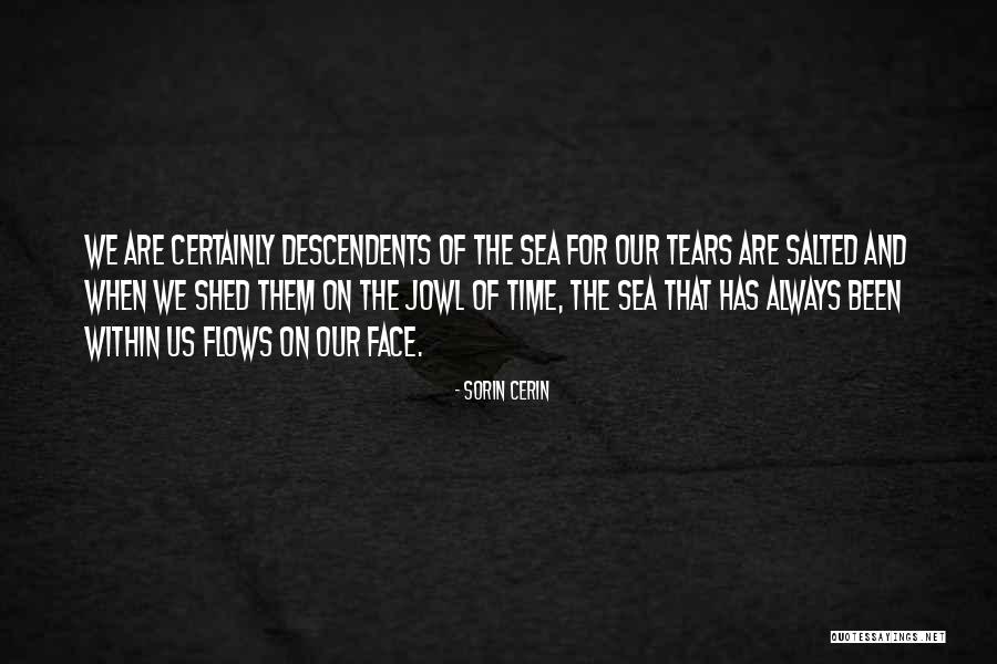 Horadar Significado Quotes By Sorin Cerin