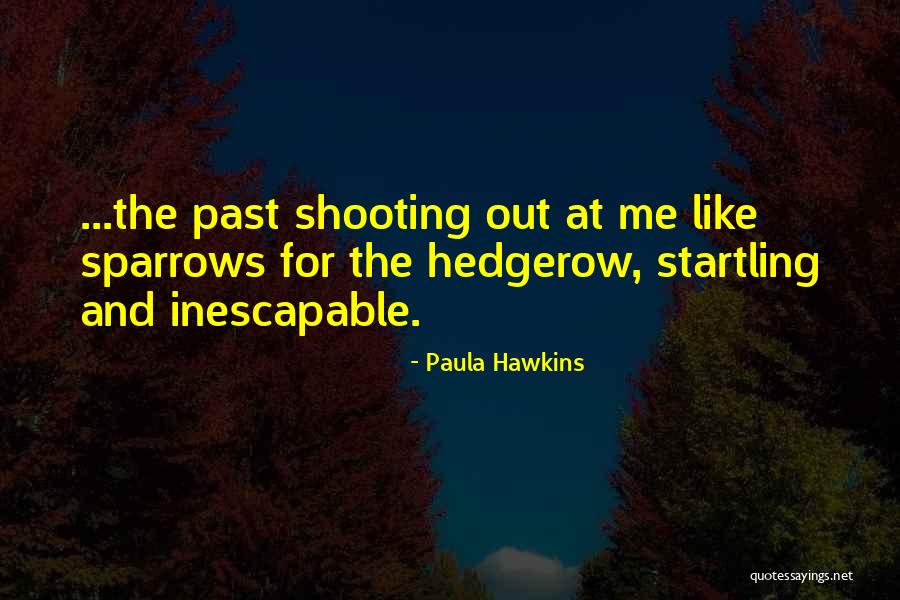 Horcher Unilift Quotes By Paula Hawkins Horcher Unilift Quotes By Paula Hawkins