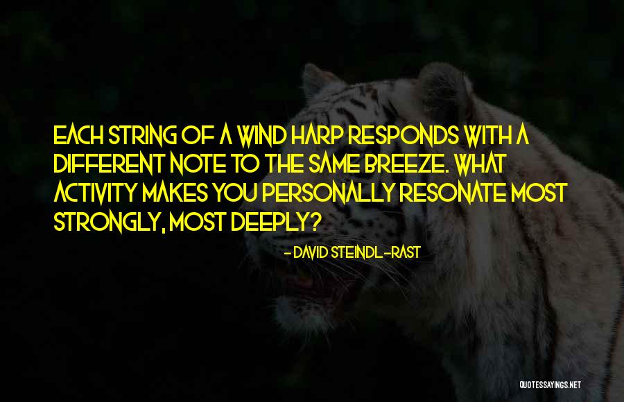 Horion Discord Quotes By David Steindl-Rast Horion Discord Quotes By David Steindl-Rast