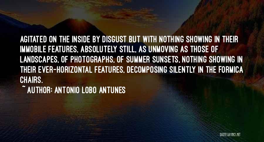 Horizontal Quotes By Antonio Lobo Antunes