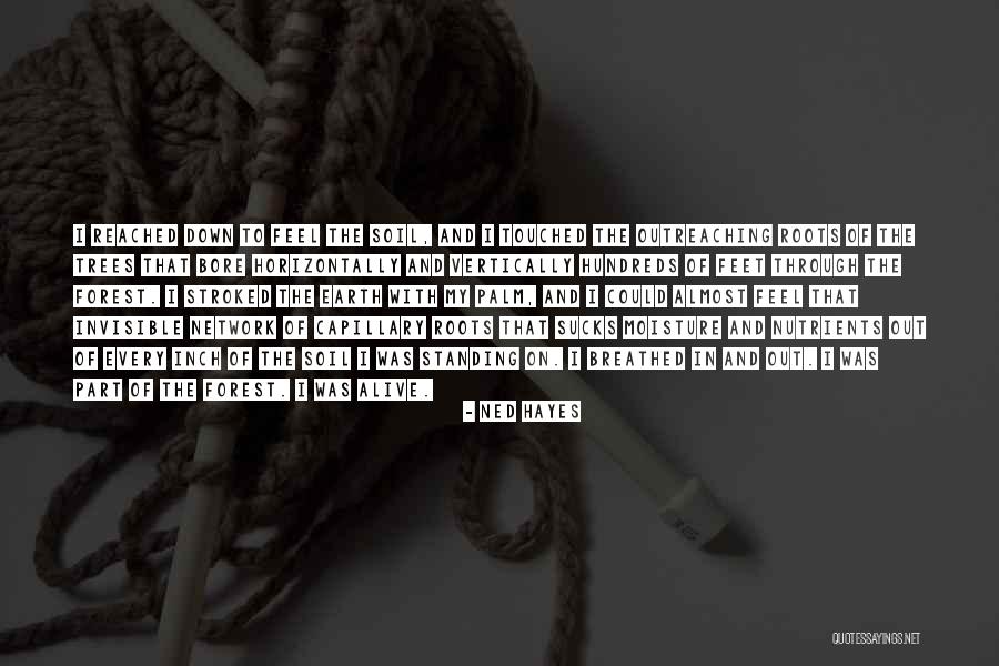 Horizontally Quotes By Ned Hayes Horizontally Quotes By Ned Hayes