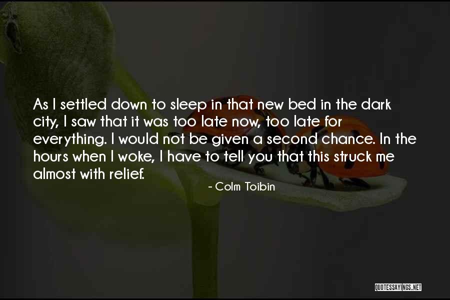 Hormesis And Homeopathy Quotes By Colm Toibin Hormesis And Homeopathy Quotes By Colm Toibin